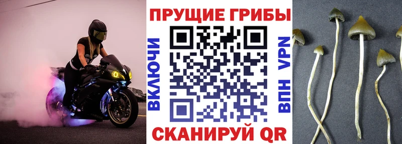 сайты даркнета как зайти  Калининск  Галлюциногенные грибы ЛСД  что такое наркотик 