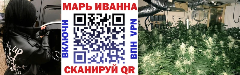 Марихуана сатива  Калининск 